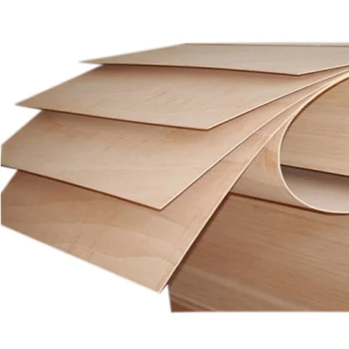 8Mm Plywood Curved Bent Wood Curved Plywood for Chair