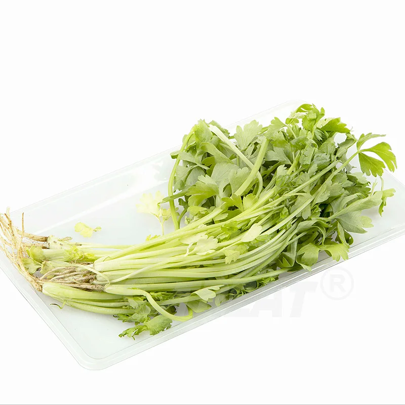 Disposable Fruit Vegetable Tray Transparent PET Plastic Punnets Disposable Plastic Container for Fruit & Vegetables use