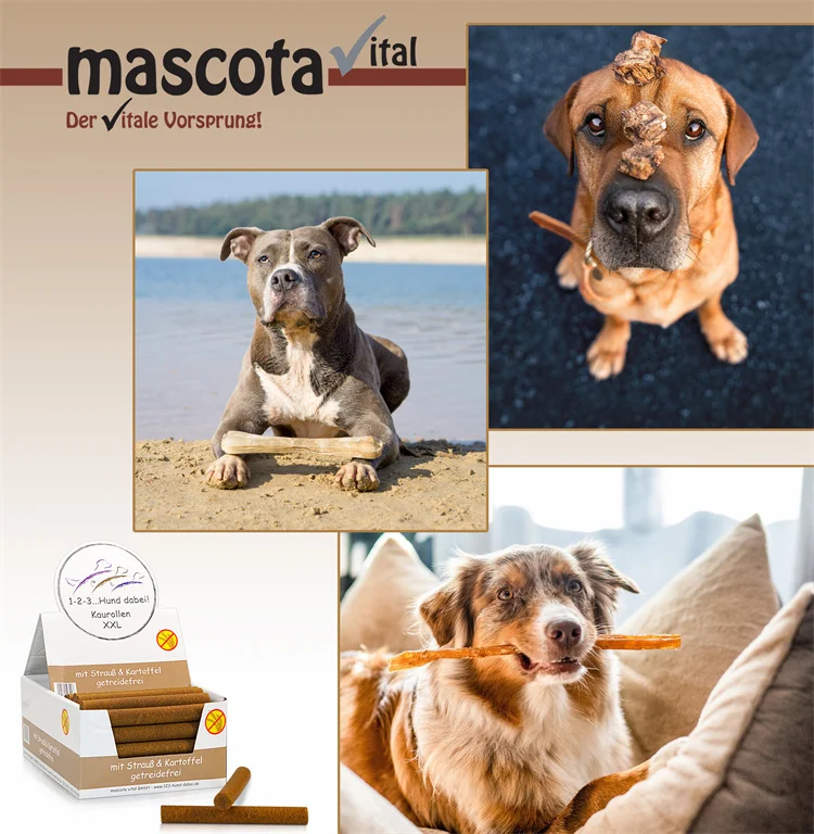 Premium Quality Mascota Vital Meat And Animal By-Products At Least 4% Ostrich Chewing Stick XXL For Export Sale