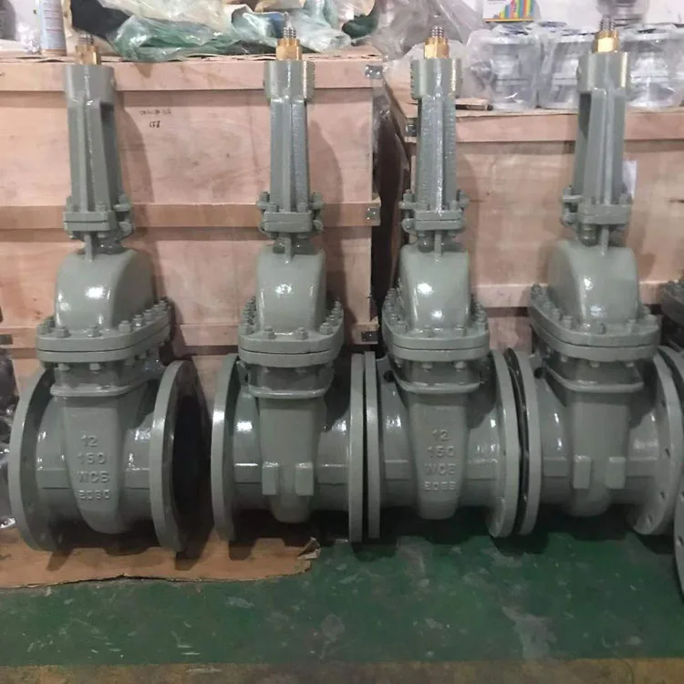 ANSI Cast Steel 10 Inch Gate Valve with Actuator