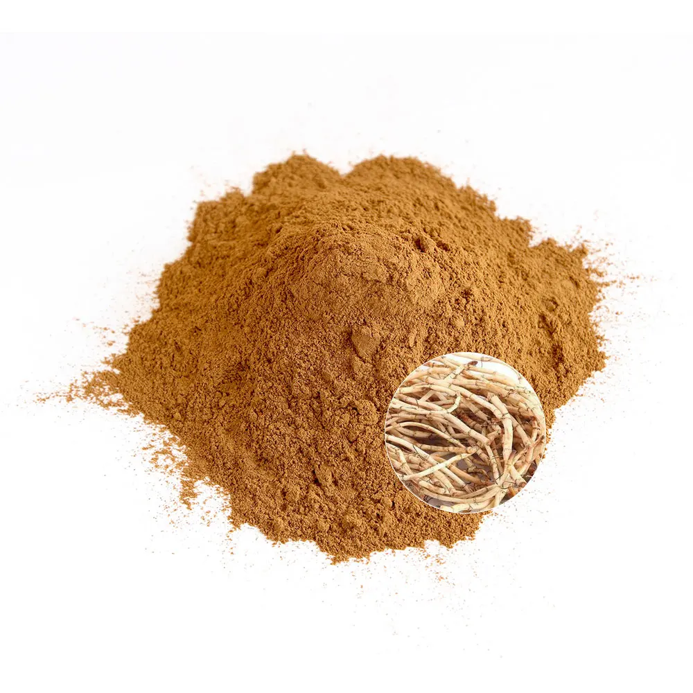 High Purity Organic Fisetin Supplement Herbal Extract Fisetin Smoketree Extract 98%