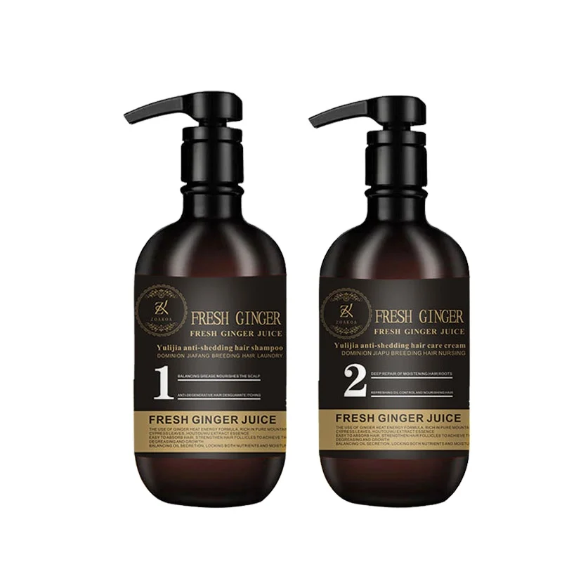 China Ginger Shampoo Anti Dandruff Hair Growth Herbal conditioner Fast Against Loss Hair Fall Products Oil Control Treatment
