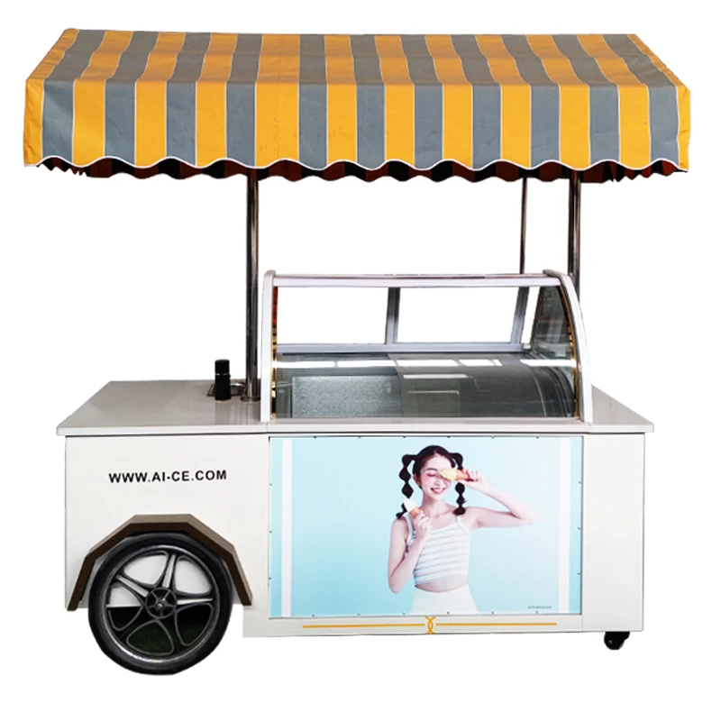 Mobile Outdoor Portable Commercial Food Kiosk Carts Electric Ebike Customized Restaurant Trolley Modern Coffee Bike Metal +wood