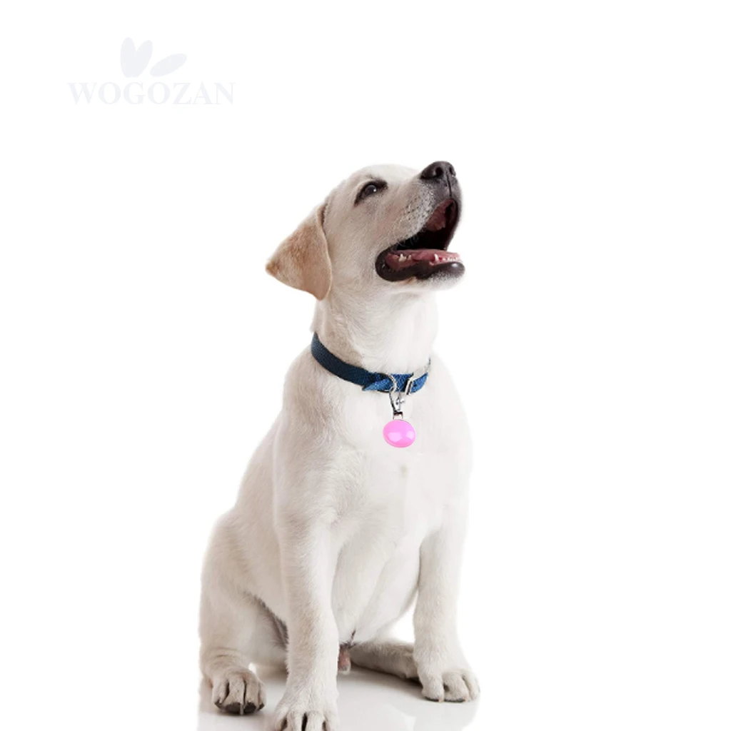 Outdoor Walking Safety Glowing Neck Collar Night Reflective Bling Clip Dog Led Collar Outdoor Tag Pet