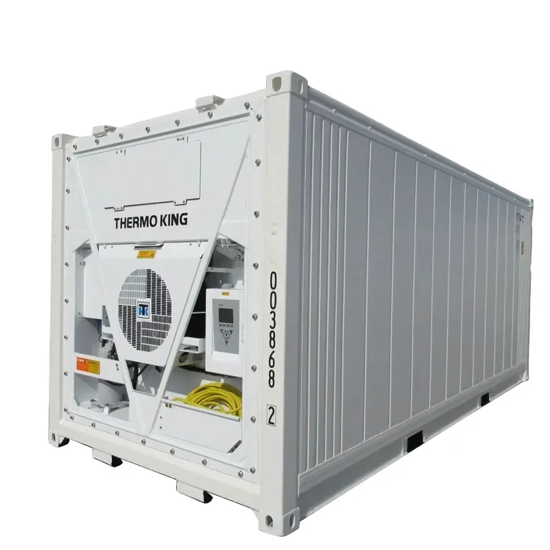 20ft Cold Storage Room Reefer Container from Stock Thermo King Cooler 20 feet Refrigerated Container for Sale