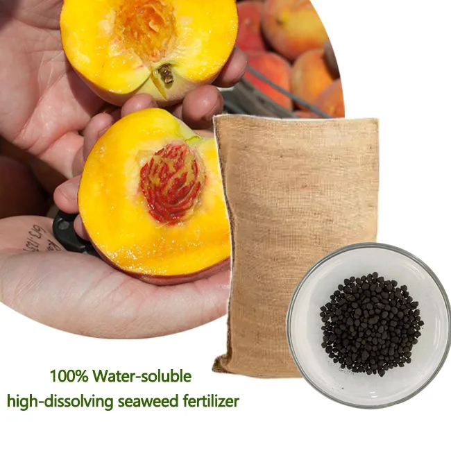 Seaweed Granular Fertilizer15-15-15 seaweed extract fertiliser granular fertilizers 2022 Hot new product