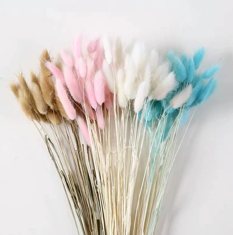 
Wedding Natural Flowers Decoration Bunny Tails Dried flowers Arrangement for Home Decor 