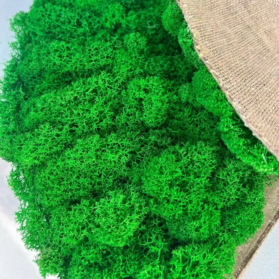 Premium quality flower package decorated with natural moss/ Luxury green eco-leather package for flower bouquet