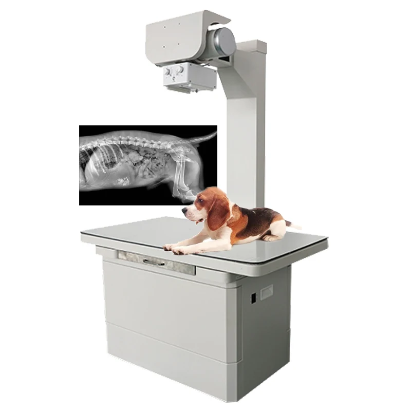 veterinary x ray machines for sale cheap veterinary x-rays portable veterinary x ray machine