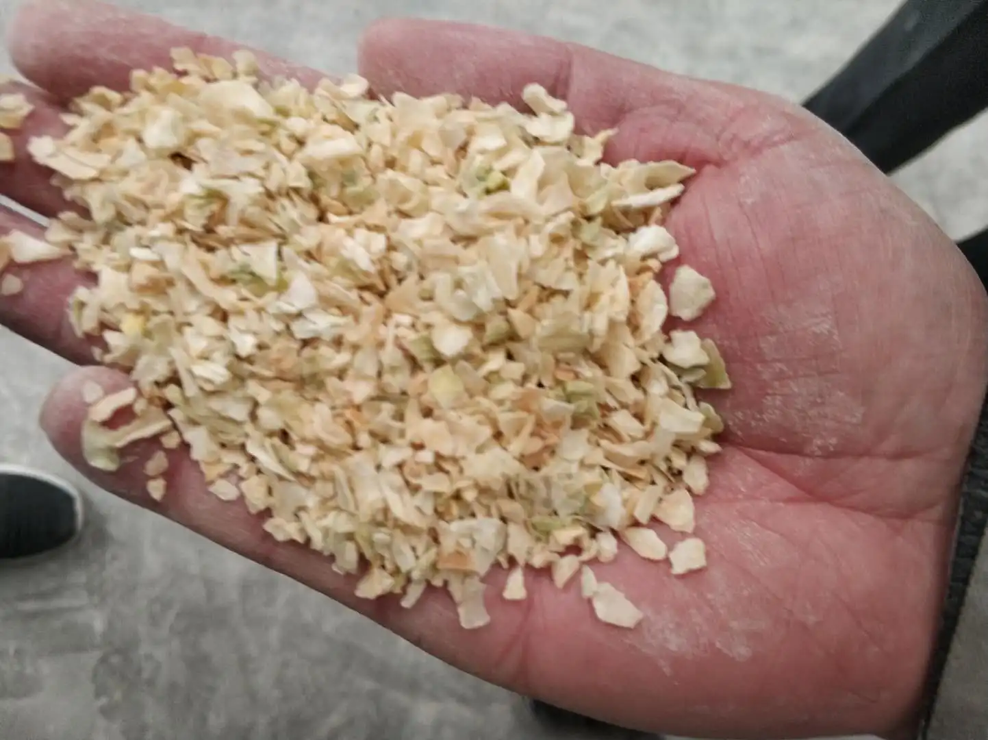 low price of Dried Dehydrated white Onion