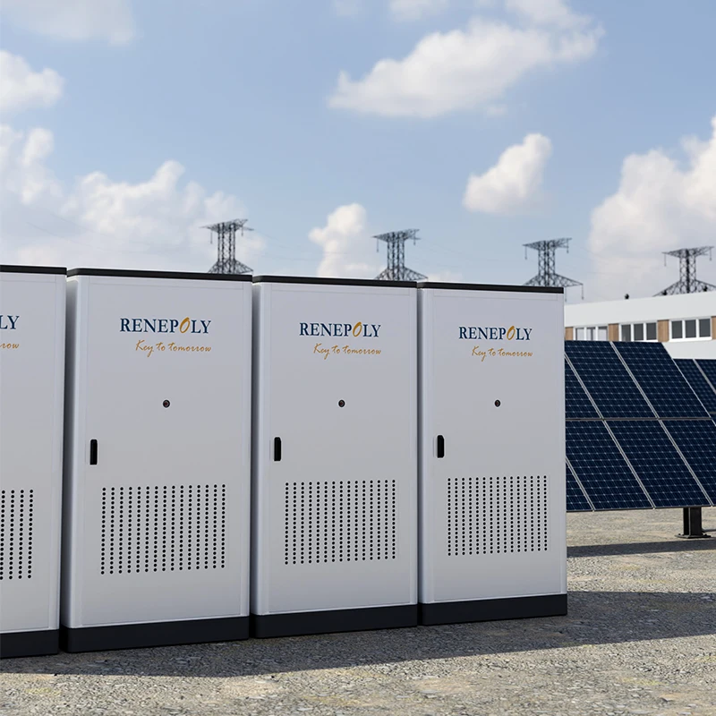 New Design Customized 20FT 40FT Hybrid Container 1MWH BESS for Renewable Energy Source BESS