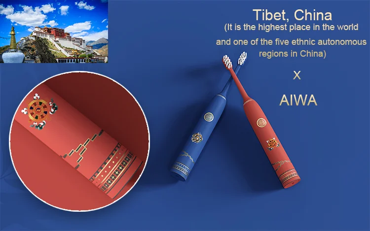 AIWO IPX7 Electric Toothbrush Waterproof Rechargeable Travel Toothbrushes Color OEM Electric Toothbrush For Adult