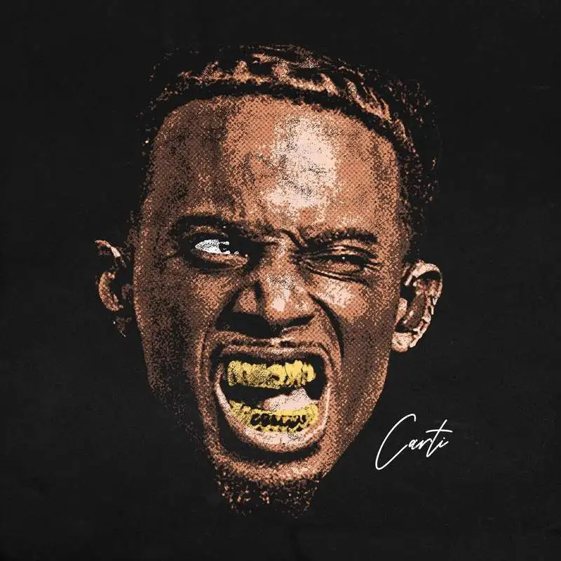 Peeqi summer streetwear designer graphic print tees for women cotton short sleeve T-shirt plus size crop top women clothing