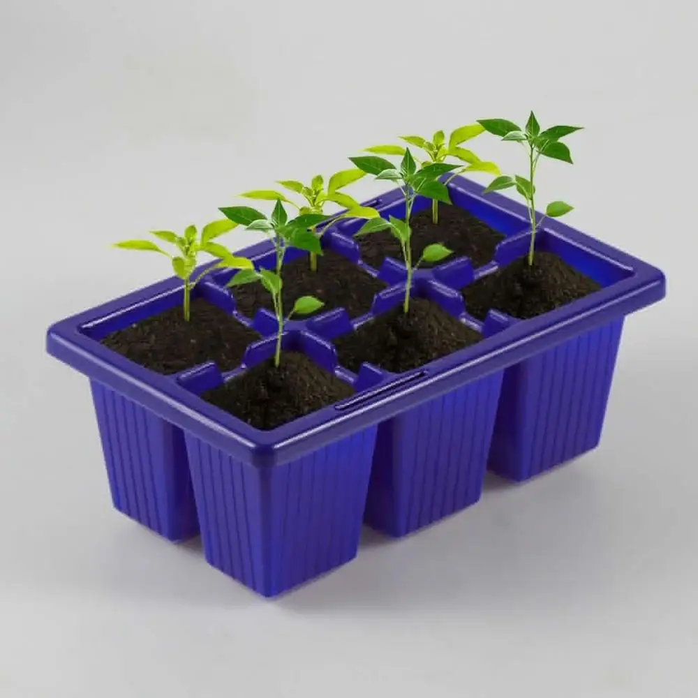 Plastic Plant Seed Sprouter Nursery Seedling Starter Trays 6 Cells Plug Plant Grower Propagation Tray
