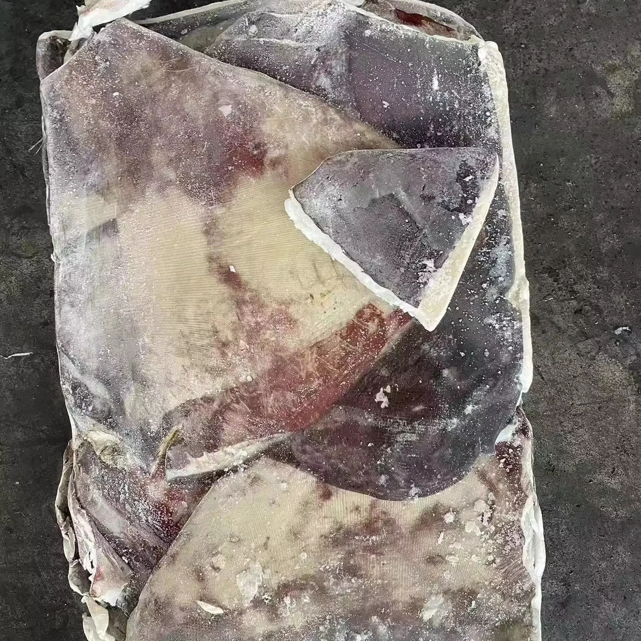 Хорошая цена замороженные крылья dosidicus gigas Перу кальмаров с кожей