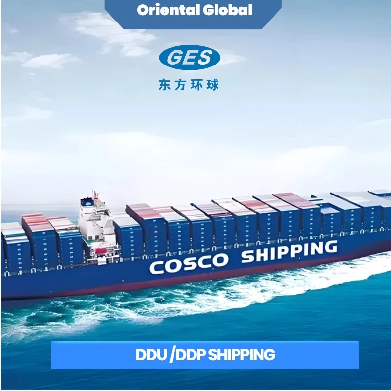 cif sea freight forwarder china to US