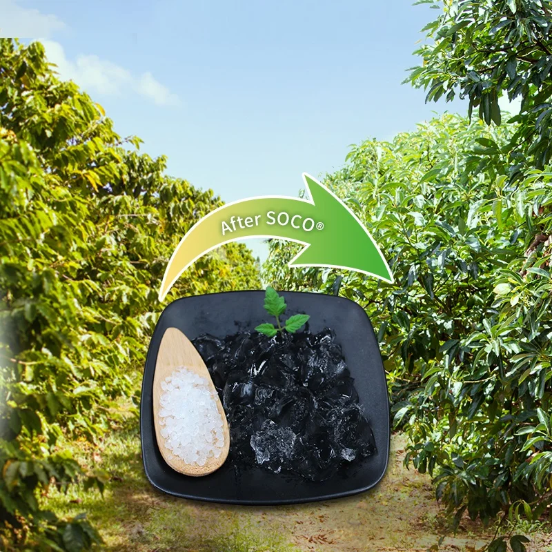 Drought Resistant Where To Buy Super Absorbent Polymer Planting Gel For Avocado Rubber In Jamaica Water Saving