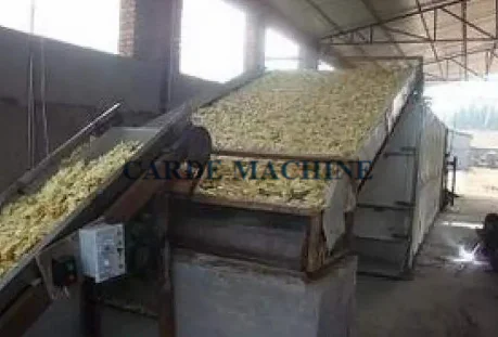 Continuous flakes shrimp shell roses flower dryer machine drying equipment for fruits dry noodle pasta machine