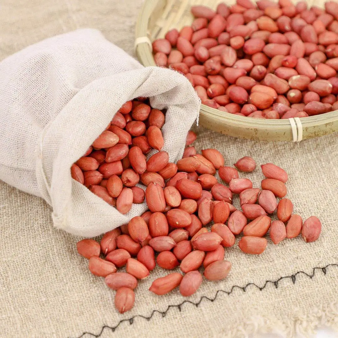 Organic Nutritious Red Skin Peanut Egypt Origin Top Grade Peanut Kernel Rich Protein