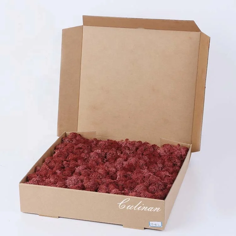 musgo estabilizado lichen moss Preserved Moss Panel Preserved for Decoration