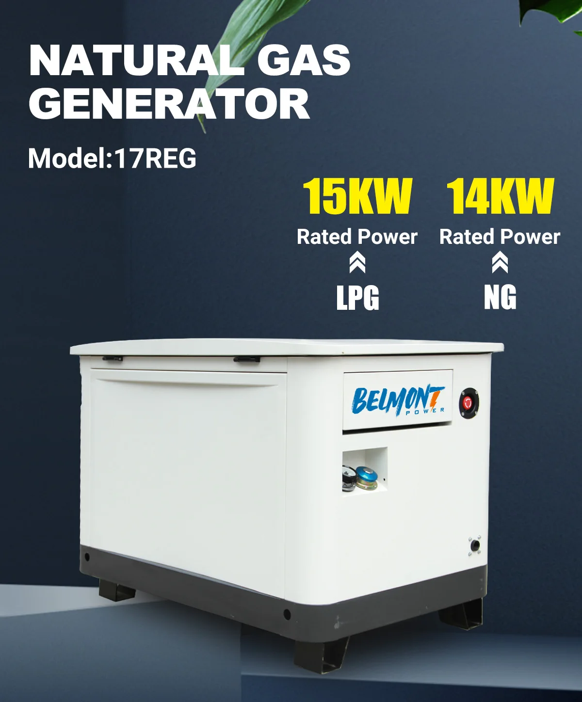 7kw 8kw 14kw 15kw 17.5kv 20kw 22kw 23kw Air Cooled LPG Home Natural lpg generator 10kw Gas Generator for Whole House