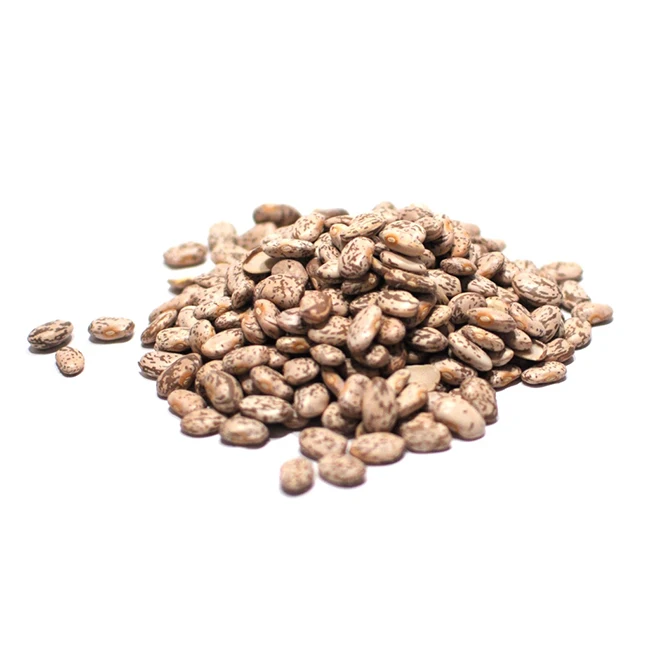 New Premium Pinto Beans-высокое качество Лучшая цена непосредственно от производителя