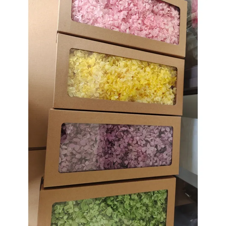 Fresh and Preserved Woody Hydrangea Box for Christmas Decorations DIY Flowers with Glue Accessories and Roses