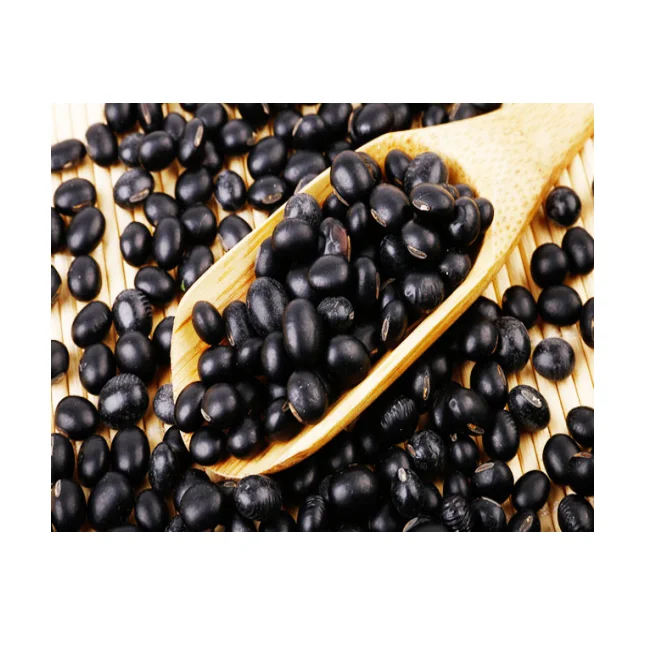 New Farming Organic High Protein Small Black Bean