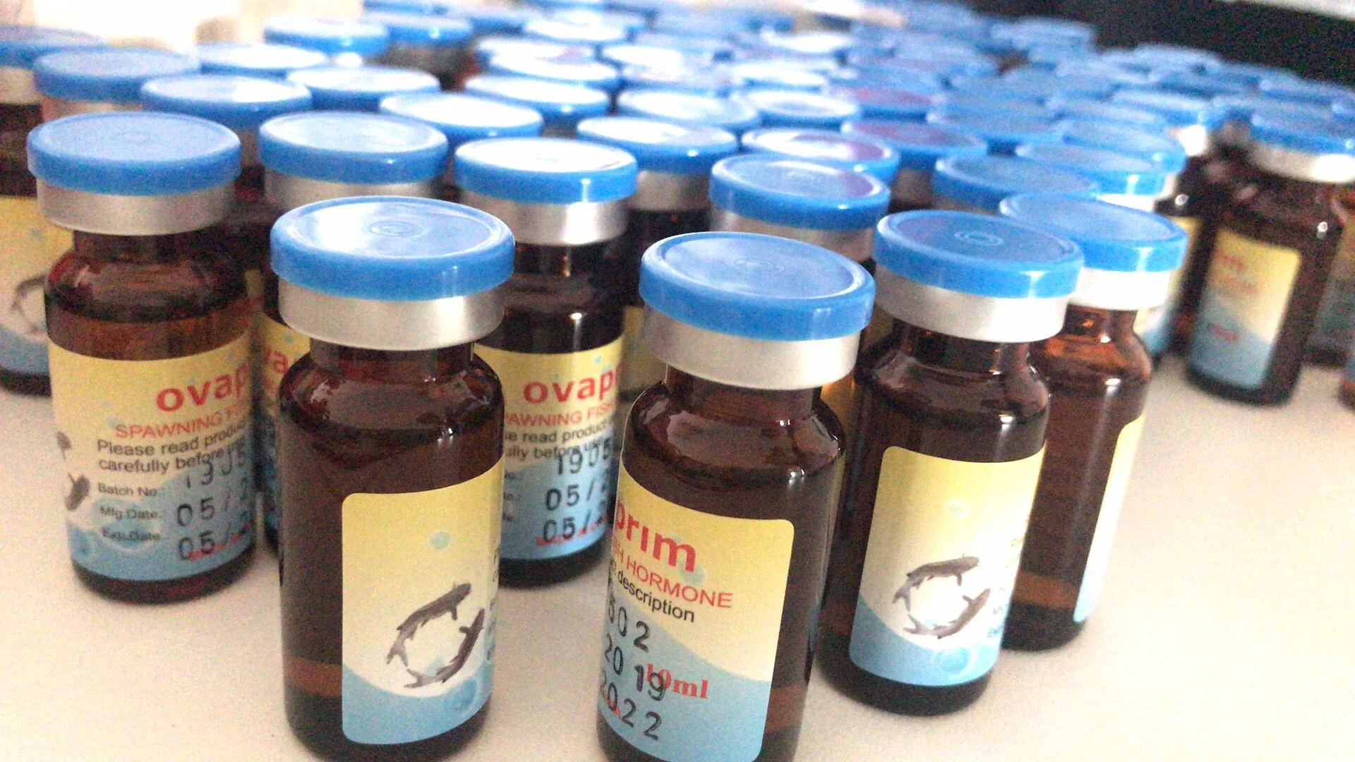 
Ovaprim for fish breeding hormone injection 