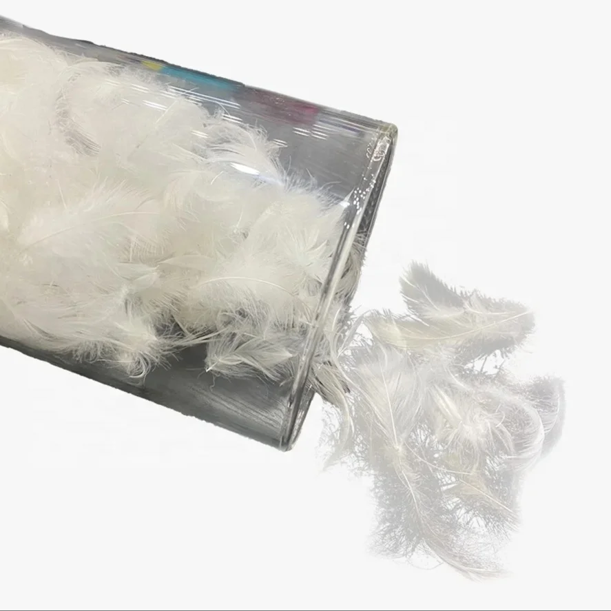 Reliable source manufacturers supply wholesale washed 90 white duck feather: no odor, large pure white