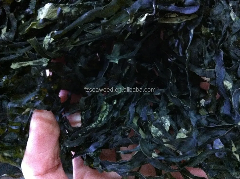 Hot Selling Healthy Organic Sea Vegetable Edible Algae Natural Dried Seaweed Kelp For Food