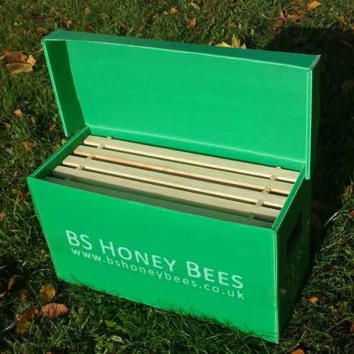 Apicultura Correx Plastic Bee Hives Customized Bee 5 Frame Nuc Box Corrugated Plastic Beehives