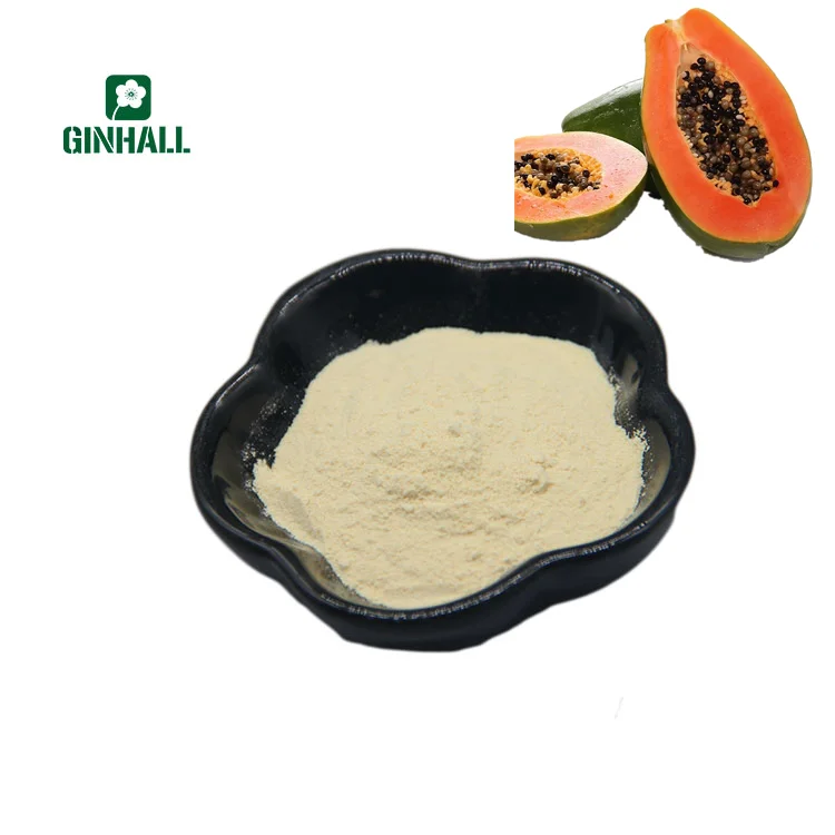 Ginhall | the newest batch papaya powder high quality organic freeze dried Papaya powder with best price