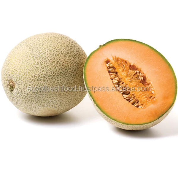 all types of Melon , ready to export from Egypt , melon fruit , watermelon