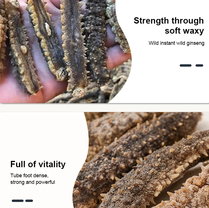 High Quality Wholesale Indonesia Sea Cucumber Dried For Sea Cucumber