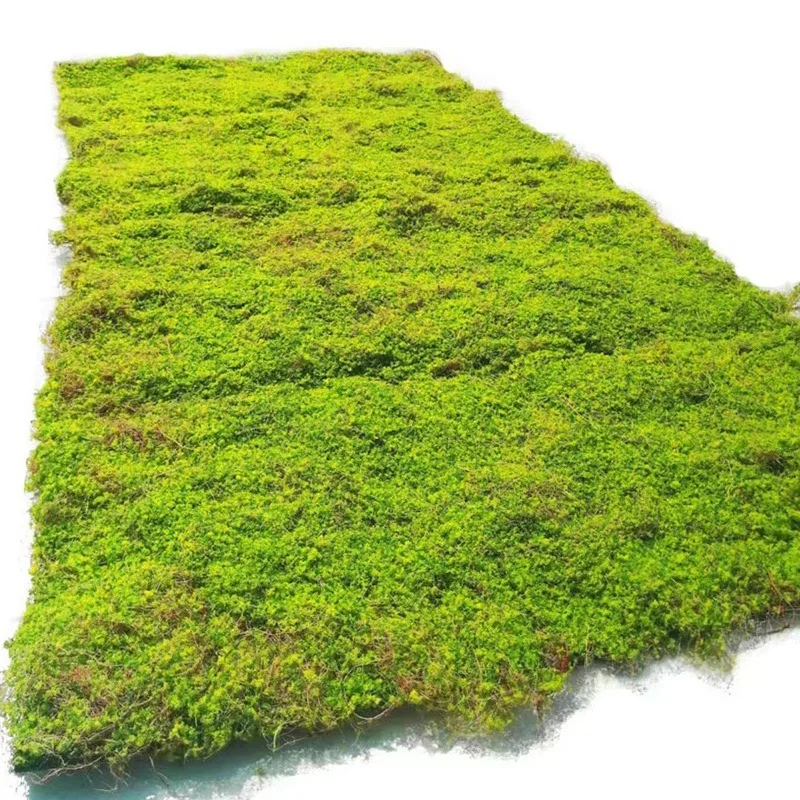 RSH factory wholesale artificial grass plant panel artificial moss wall art for decoration