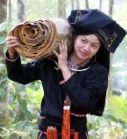 VIETNAM CINNAMON  best PRICE CINNAMON STICK/CASSIA AND SPLIT