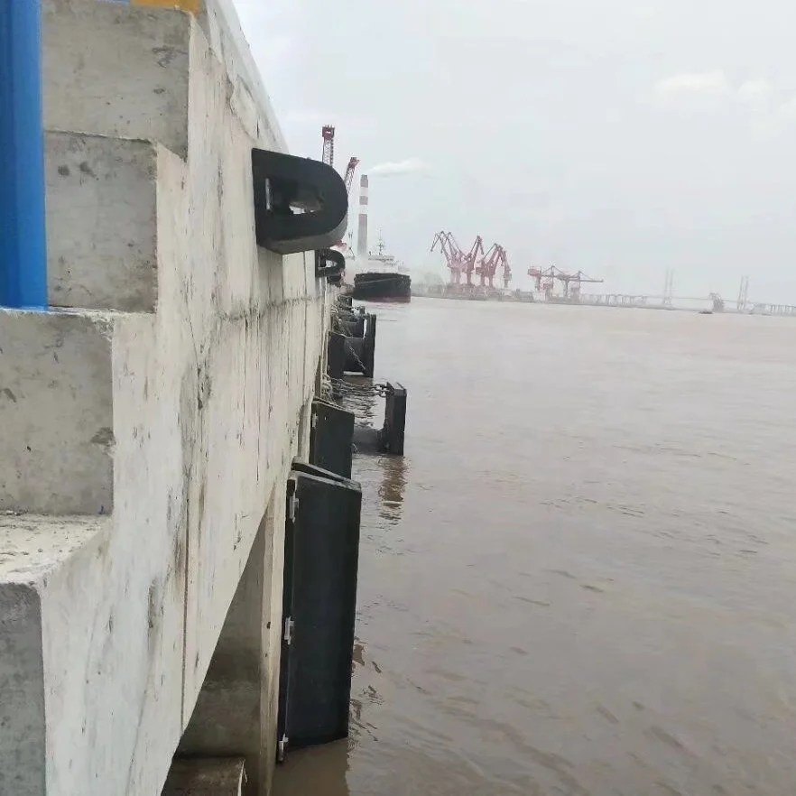 Marine Dock D Type Rubber Fender Pad for Various Berths with High Energy Absorption
