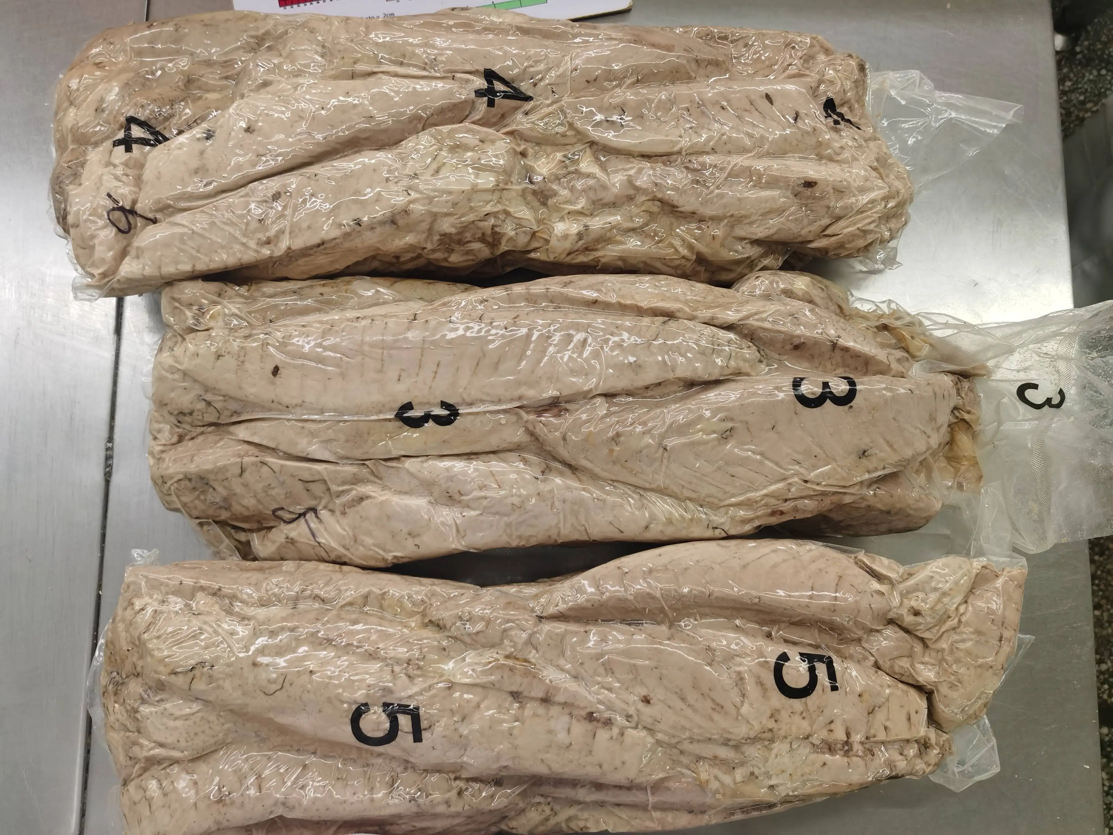 Высокое качество BQF Frozen IQF Fresh Bonito Tuna рыбный кошелек легкий свежий охлажденный желтоперый тунец оптом