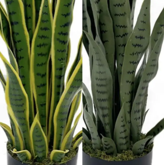 Оптовая продажа разные размеры искусственные деревья змеиные растения Sansevieria имитация зеленого топиария
