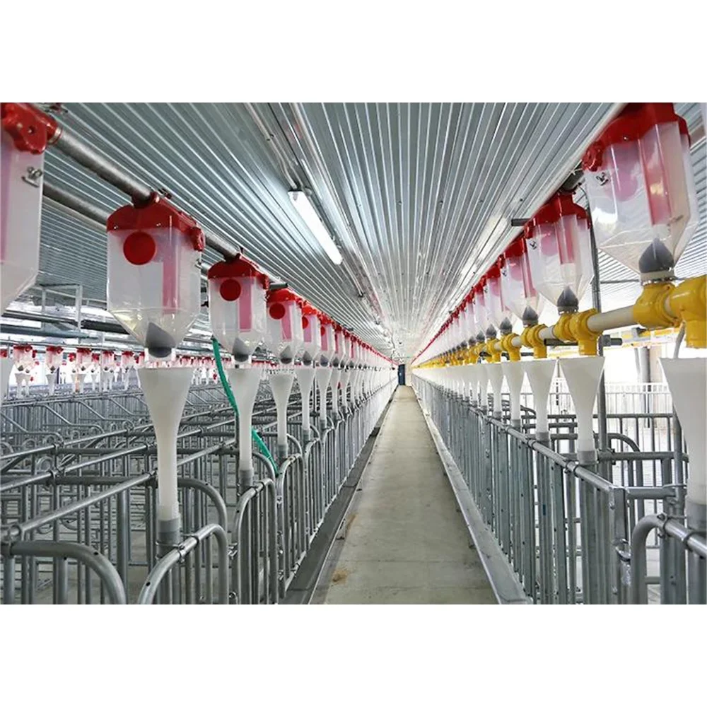Huge pig farm open style farrowing pen pig farm project