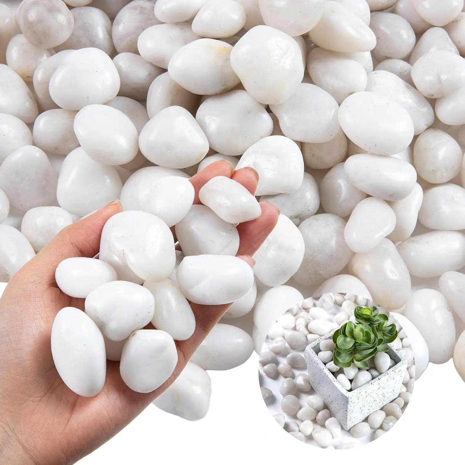 High Polished White River Rock  Pebbles for Indoor Plants or Outdoor Garden Landscaping Decorative Stones for Aquarium Fish Tank