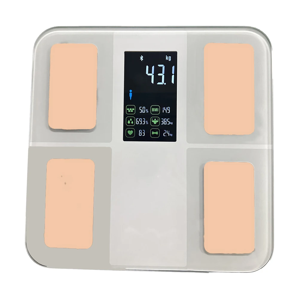 BL-8048V Colorful screen VA big  display electronic digital body fat measuring scale digital  with 4 Electrodes