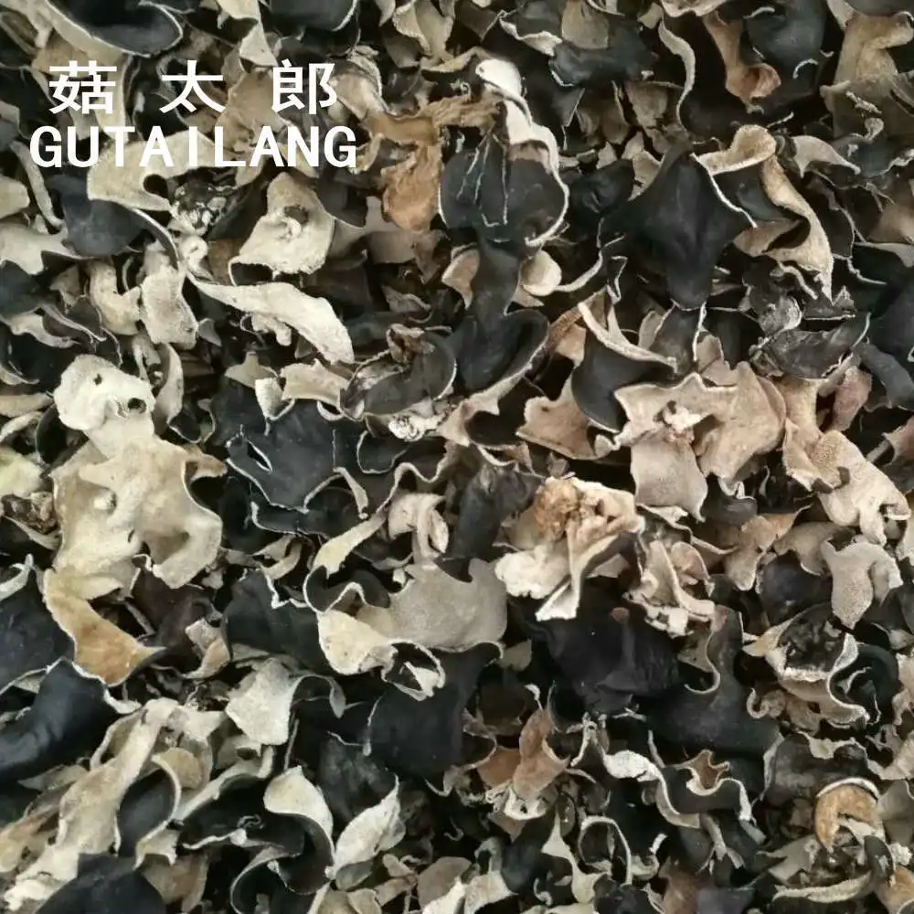Edible dried black tree fungus full cut black fugus mushroom dried sliced black fungus piece black agaric wood fungus block