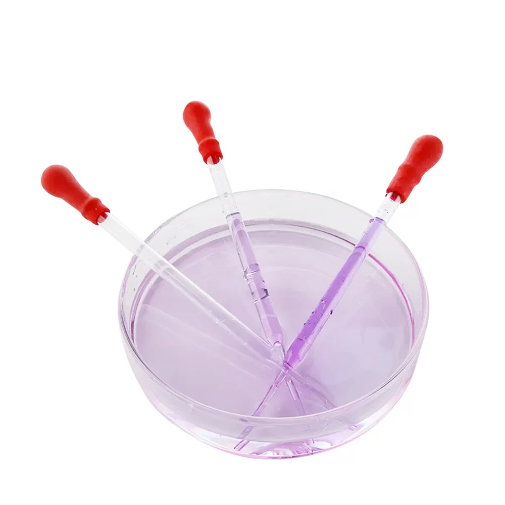 Pipet Rubber head Laboratory Glassware Pipette Liquid Transfer Tube