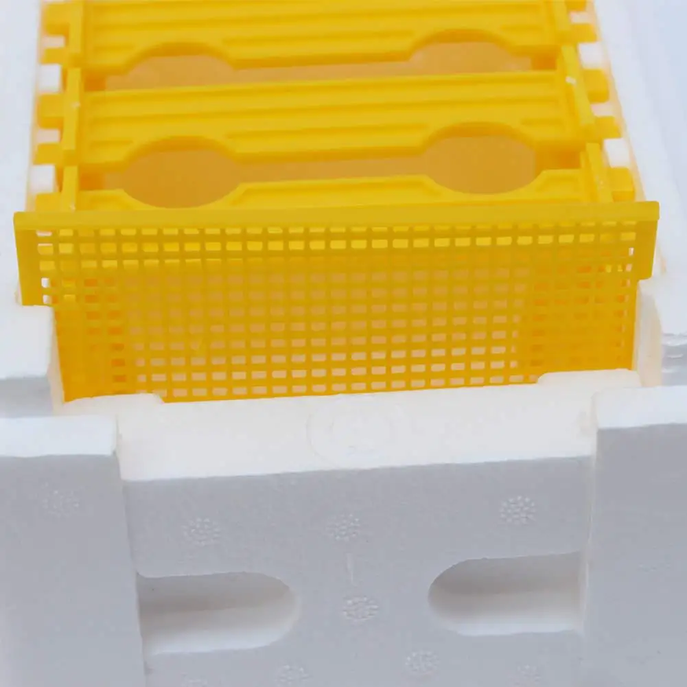 Queen Breeding Rearing Box Bee Mating Nucs Hive Foam Queen King Pollination Box Beehive