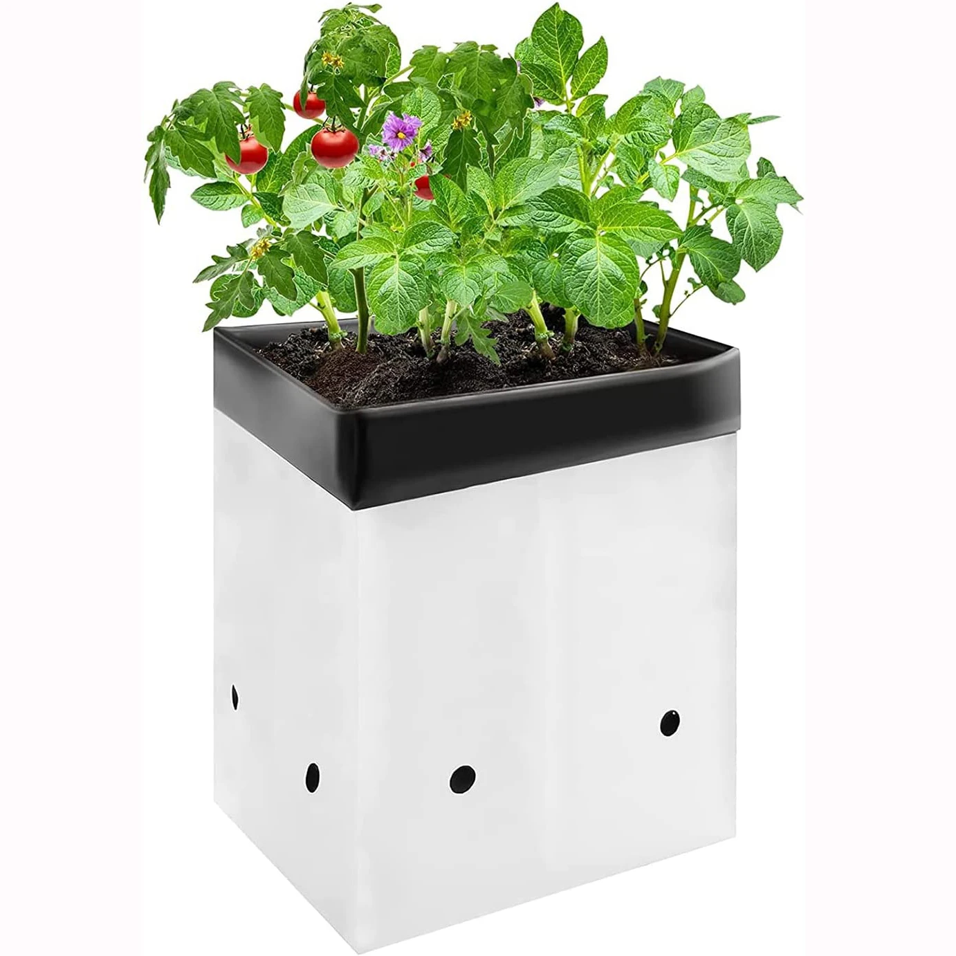 DD1578   Black-and-White Nursery Sunscreen Plastic Growing Bags for Potting Seedlings Container Rooting Grow Bags for Plants