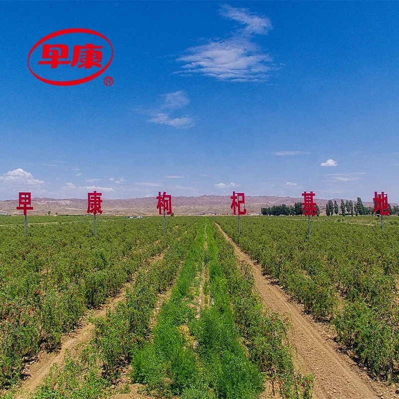 Высококачественная Органическая сушеная ягода Годжи Ning