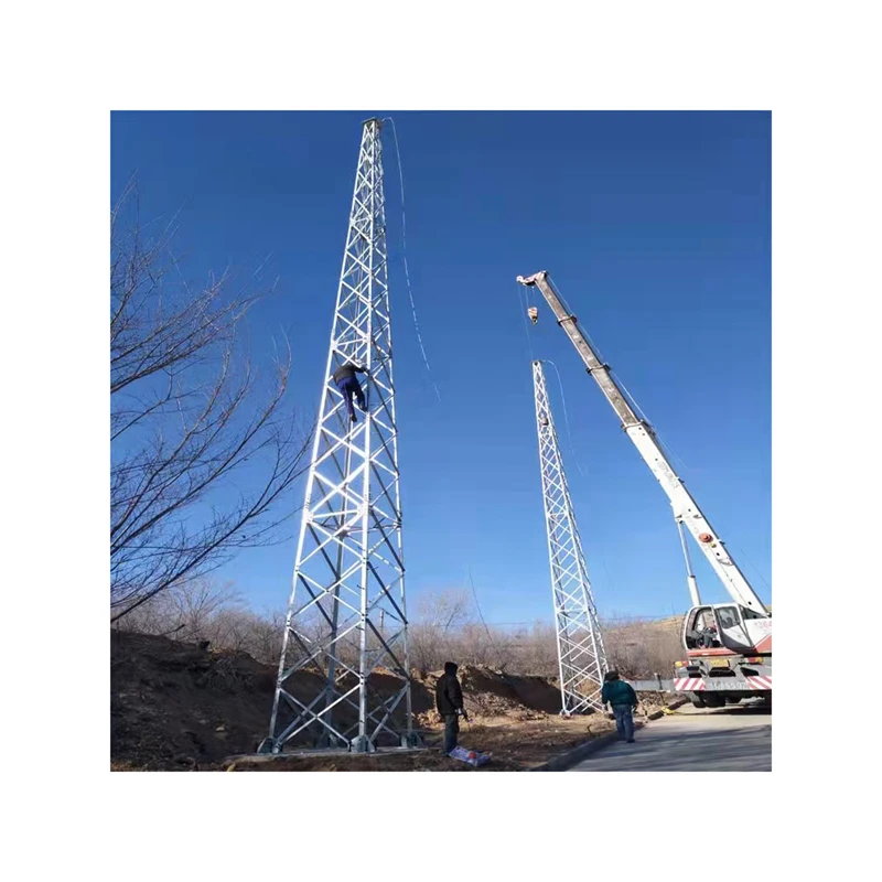 Lightning Protection/lightning Rod Tower/ Steel Lightning Rod Tower