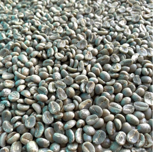 3.1$/kg wholesale retail vietnam coffee original CAU DAT LAM DONG coffee arabica robusta raw coffee free samples wa +84938736924